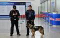 北京近期草木皆兵，全域维稳升级。示意图（图片来源：Adek BERRY AFP via Getty Images）