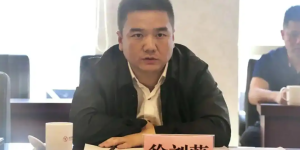 徐刘蔚