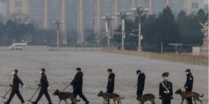 2022年3月10日，在北京人民大会堂举行的全国政协会议闭幕前，中共警犬和爆炸物处理队在天安门广场进行安检。（图片来源：Kevin Frayer/Getty Images）
