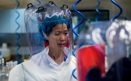 石正丽与研究团队却发出警告，全球“非常有可能”再爆发新一波新冠疫情。（图片来源：JOHANNES EISELE/AFP via Getty Images）