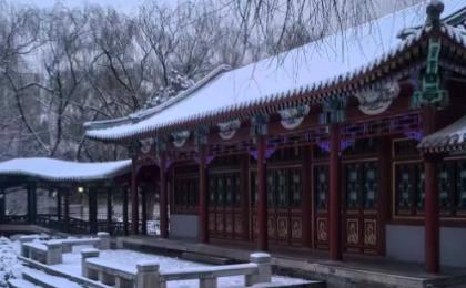 3月4日，北京突降鹅毛大雪。（图片来源：网路截图）