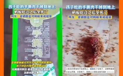中国手撕肉干零食碎渣掉落地面，蚂蚁群啃食后竟在短时间内集体死亡。（图片来源：视频截图）