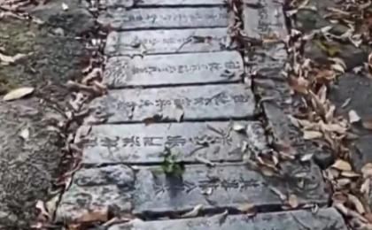 江苏无锡惠山国家森林公园登山台阶由裁切的墓碑铺设。（图片来源：视频截图）
