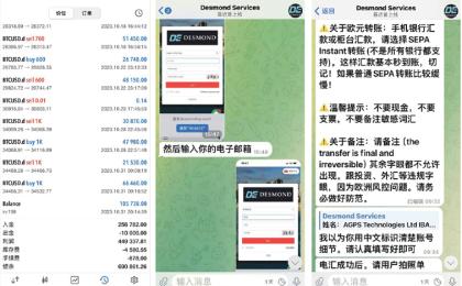 左图：诈骗网站很像真正的投资网站，极具迷惑性；中图和右图：诈骗团伙与受害者之间的对话截图（照片由杨先生提供）