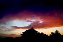 宁夏现“首虎”  北京上海风声鹤唳