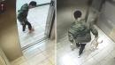 华人男子虐狗被录下              被控虐待动物罪名成立