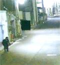 日本飞檐走壁的窃贼                   竟是74岁的“忍者爷爷”