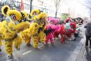 巴黎13区新年彩妆大游行图组