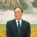 王岐山出任国家副主席