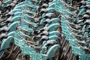 Vélib’共享单车（AFP/Getty Images)