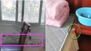 归国华人披露现状，担心自己在中国感染病毒。（图片来源：视频截图）