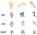 网络图片