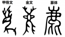 网络图片