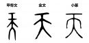 网络图片