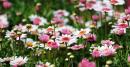 （图片来源：Pixabay）