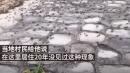 10月17日，江苏常熟市接近长江入海口处出现惊人异象：数万只螃蟹沿着岸边爬到岸上。（图片来源：视频截图）