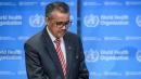 世界卫生组织（WHO ）秘书长谭德塞（Tedros Adhanom Ghebreyesus）(图片来源: FABRICE COFFRINI/AFP via Getty Images)
