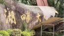 “湖畔大学”四个大字正在被抹去。