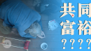 自由亚洲电台