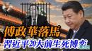 袁红冰热点