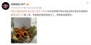 （图片来源：中国数字时代）