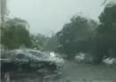 大陆媒体17日消息，昨夜今晨福州雷声阵阵、大雨倾盆。（图片来源：翻拍网图）