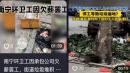 广西南宁一地环卫工因被欠薪数月，连日罢工致垃圾遍地。（图片来源：抖音截图