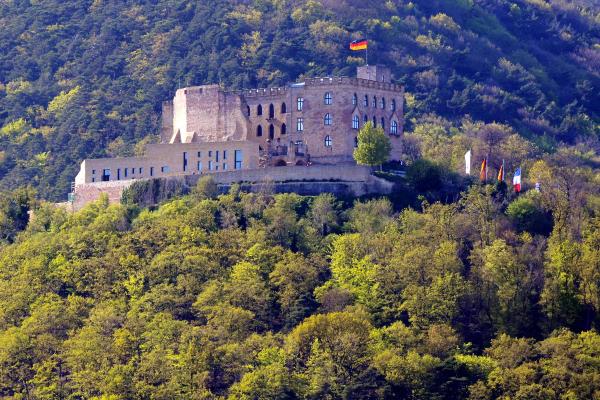 哈姆巴赫(Hambach)城堡 (BlueBreezeWiki/维基百科)