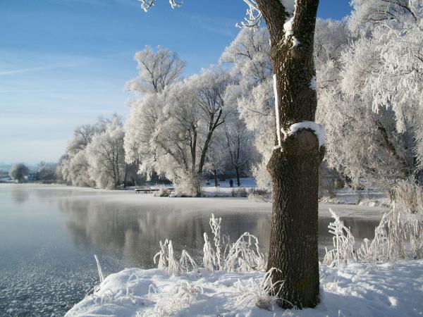 在冰雪覆盖的恶劣环境中,发生着让人感动的故事。(图片来源:pixabay )