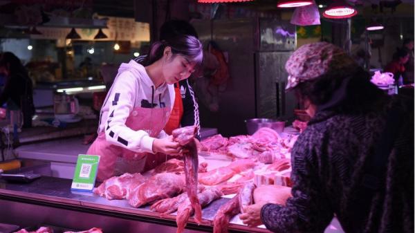 非洲猪瘟攻陷中国大陆后猪肉价格长期高涨引发民怨。(图片来源:WANG ZHAO/AFP via Getty Images)