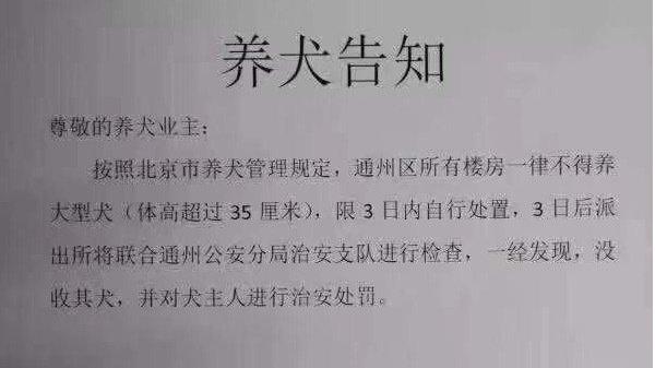 通州区所有楼房一律不得饲养身高超过35公分的大型犬(网络图片)