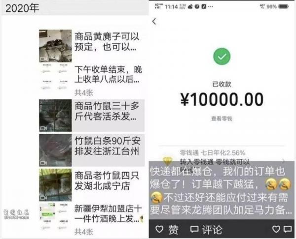 (网络截图)