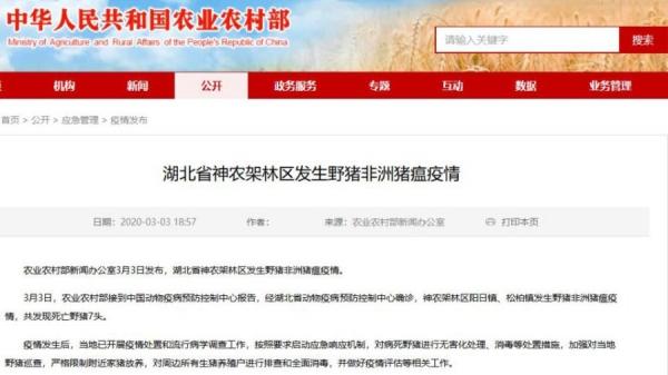 湖北省神农架林区发生猪只感染非洲猪瘟疫情(图片来源:网络截图)