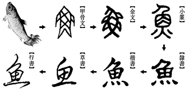 网络图片