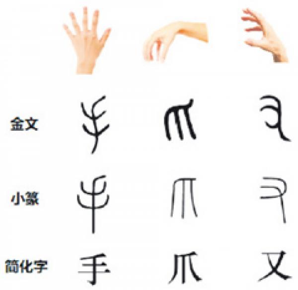 网络图片