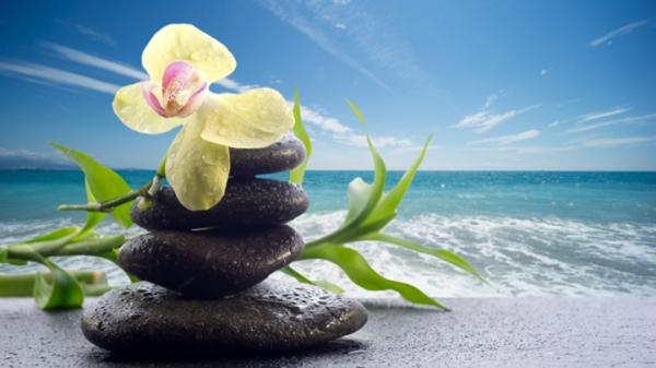 (Adobe stock)