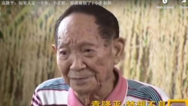 袁隆平接受官媒采访时坦言,中国的粮食是不够吃的,大豆缺口特别大,“别国不卖,就麻烦了。”(图片来源:视频截图)