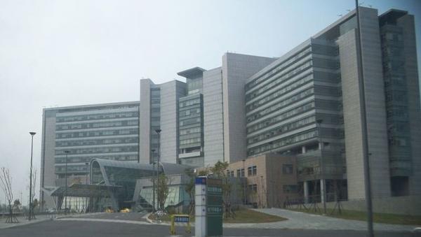 长庚等团队目前找到25株人类单株抗体,不仅可以研发快筛,最快30分钟之内知道结果,更发现1株抗体有机会抑制中共病毒进入人体,可望防治病毒。(图片来源:Chi-Hung Lin/维基百科)