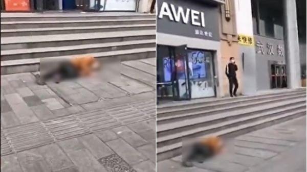 一名身穿棕色外套、黑色长裤的男子倒卧在街头。(图片来源:视频截图)