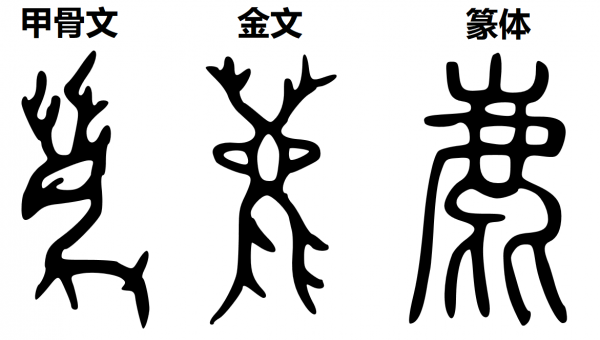 网络图片
