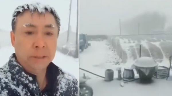 4月20日,中国黑龙江多地突降37年来罕见的大雪。(图片来源:视频截图)