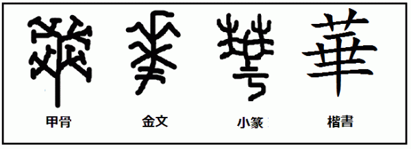 网络图片