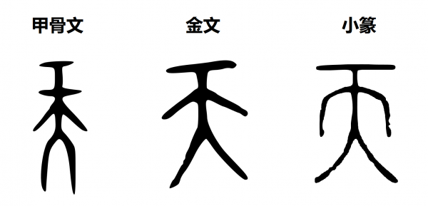 网络图片