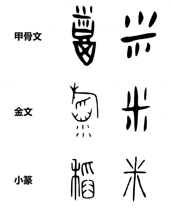 网络图片