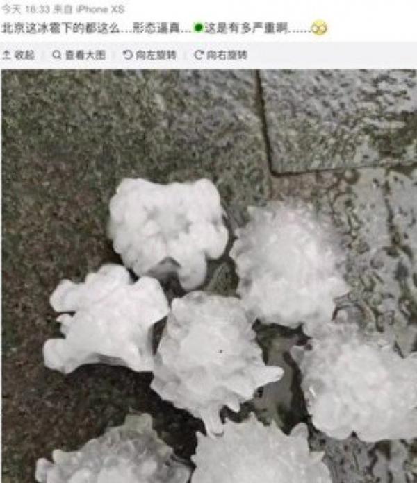 端午节北京等地突降冰雹,从网民晒出的图片可见,冰雹形状酷似冠状病毒。(图片来源:网络截图)