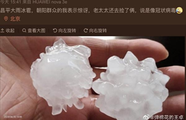 端午节北京等地突降冰雹,从网民晒出的图片可见,冰雹形状酷似冠状病毒。(图片来源:网络截图)