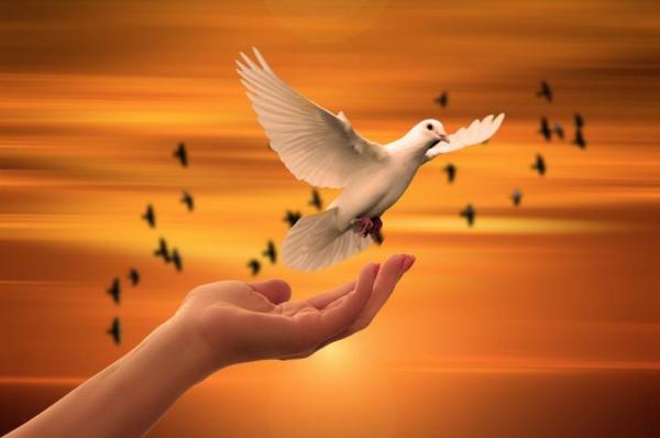 (图片来源:Pixabay) 