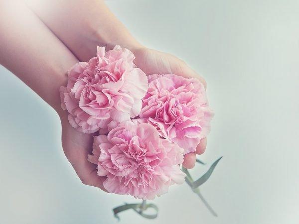(图片来源:Pixabay)