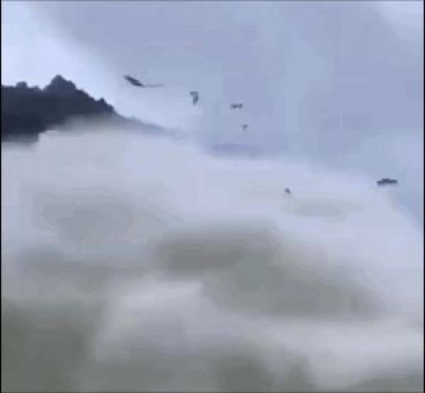 (视频截图)