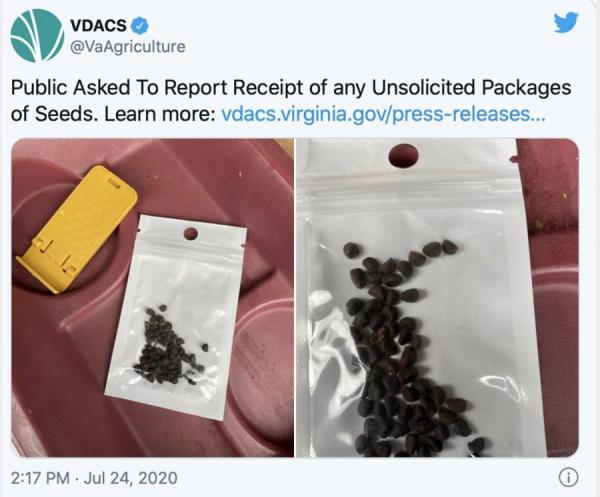 弗吉利亚农业和消费者服务部展示的来自中国的神秘种子(图片来源:Twitter截图/VDACS)